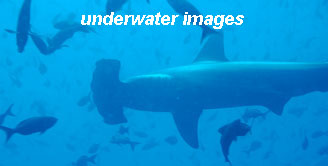 Underwater Images